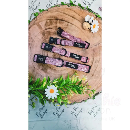 Garden Bloom Floral Dog Collar - Pet Pooch - 2