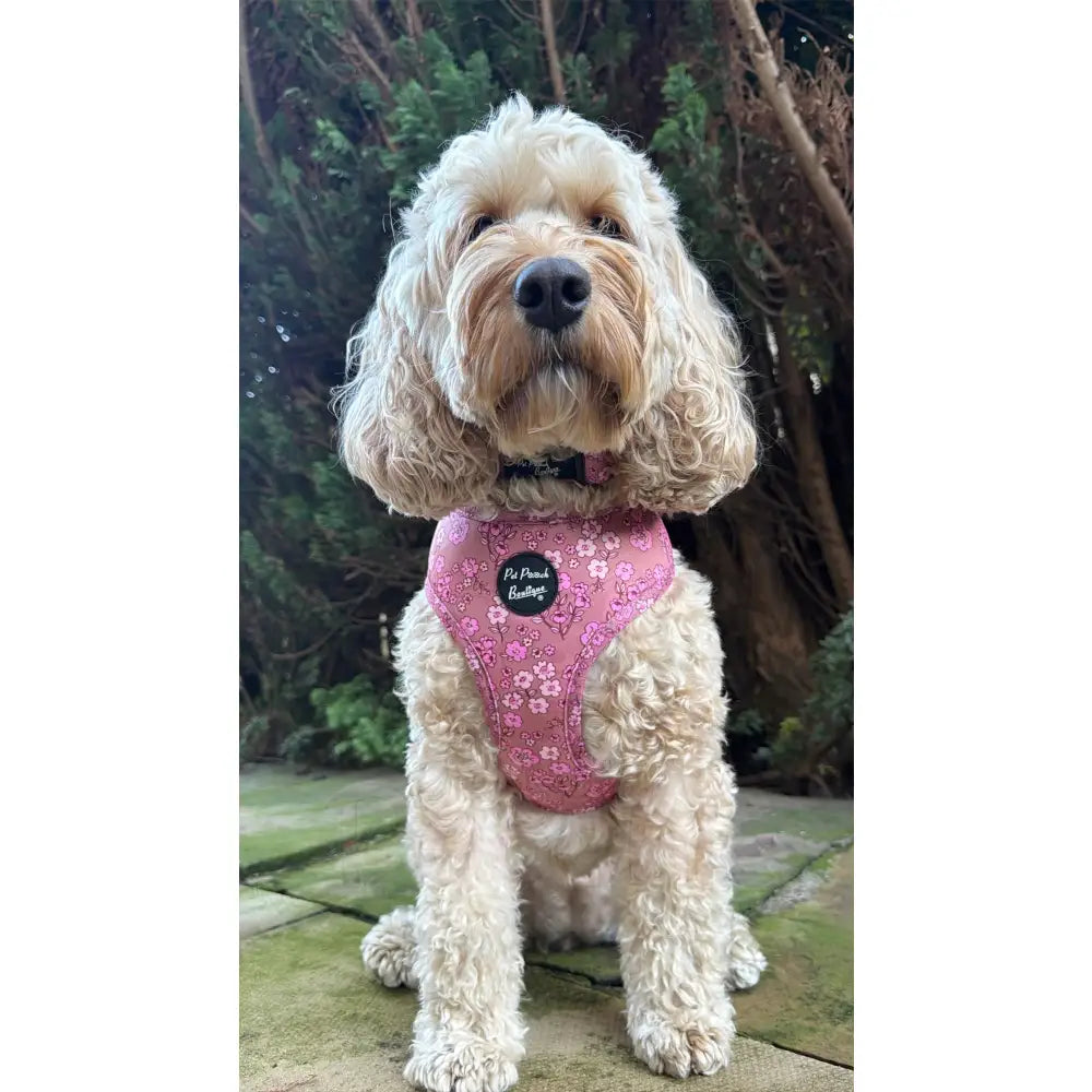 Garden Bloom Floral Dog Harness - Pet Pooch - 4