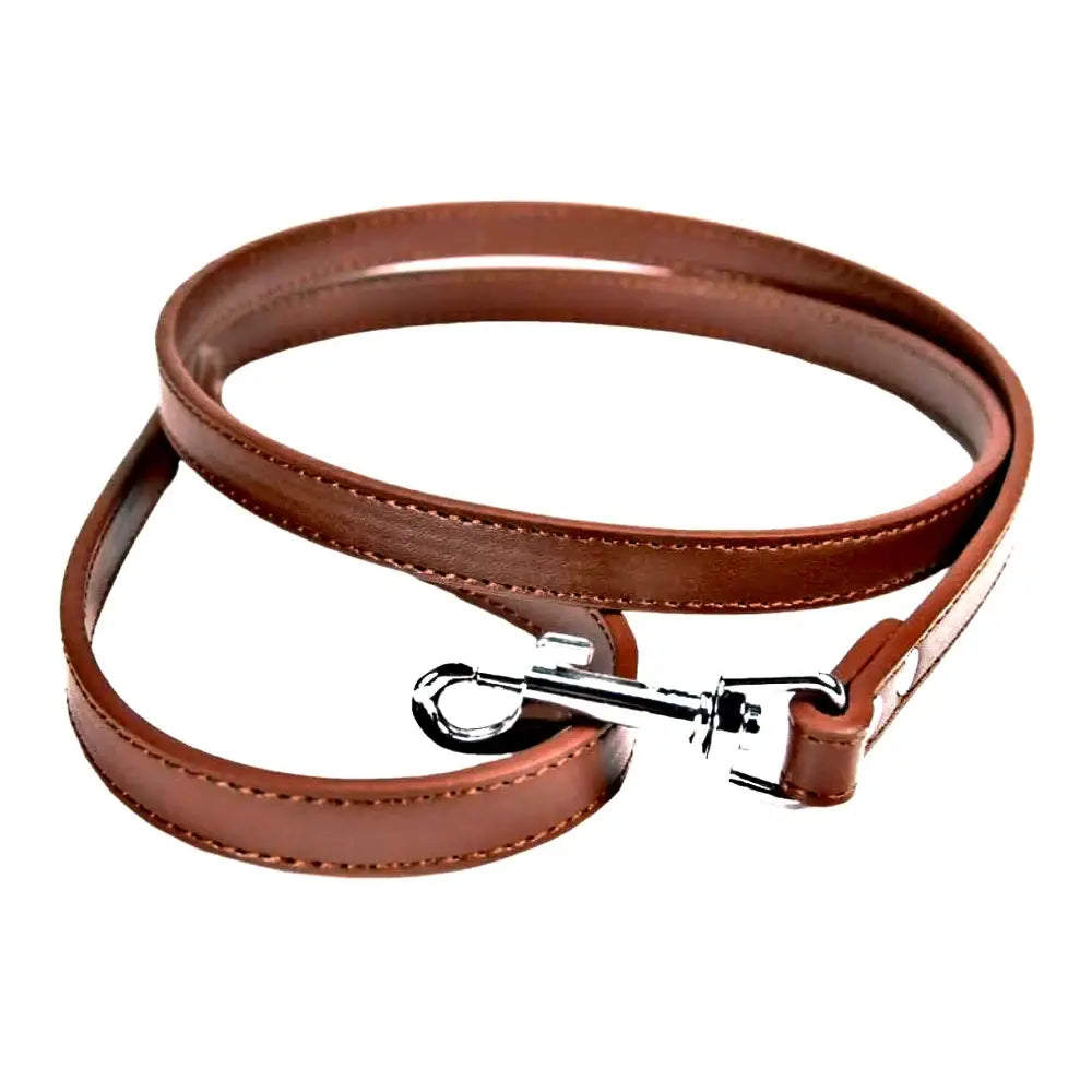 Glitter Brown Leather Dog Lead - Poochie Fashion - 1