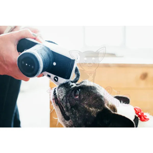 Globetrotter Lens Licker Camera Dog Toy by P.l.a.y P.l.a.y 5