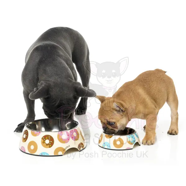 Go Nuts for Donuts Easy Feeder Pet Bowl by Fuzzyard - Fuzzyard - 2