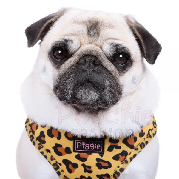 Golden Savannah Adjustable Neck Dog Harness - Piggie - 4