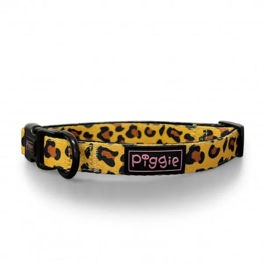 Golden Savannah Dog Collar - Piggie - 1