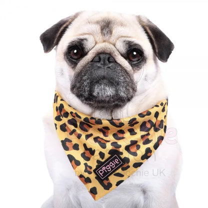 Golden Savannah Tie On Dog Bandana - Piggie - 2