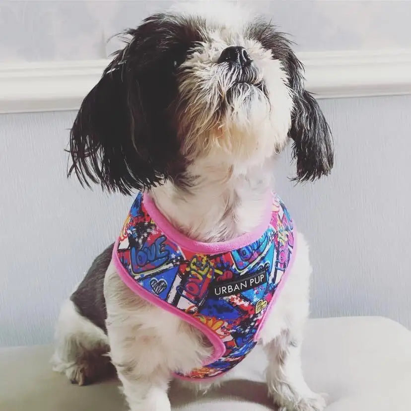 Graffiti Dog Harness Small - Sale - 1