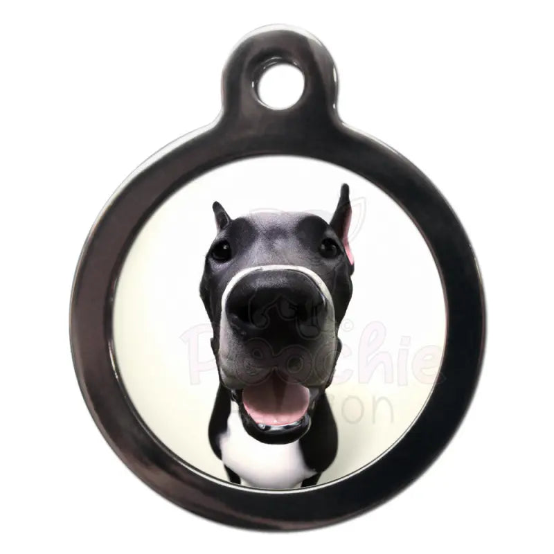 Great Dane Fish Eye Dog Id Tag - Ps Pet Tags - 1