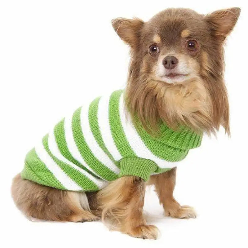 Green and White Candy Stripe Dog Jumper - Urban Pup - 2