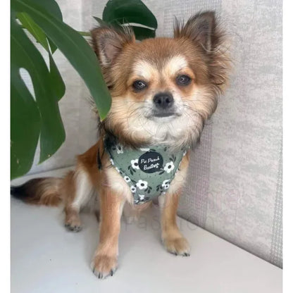 Green Meadow Floral Dog Harness - Pet Pooch - 4