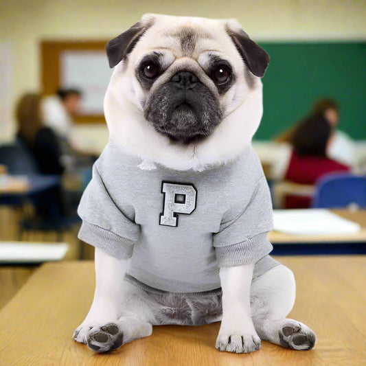 Grey Personalised Embroidered Letter Hoodie - Rich Paw - 1