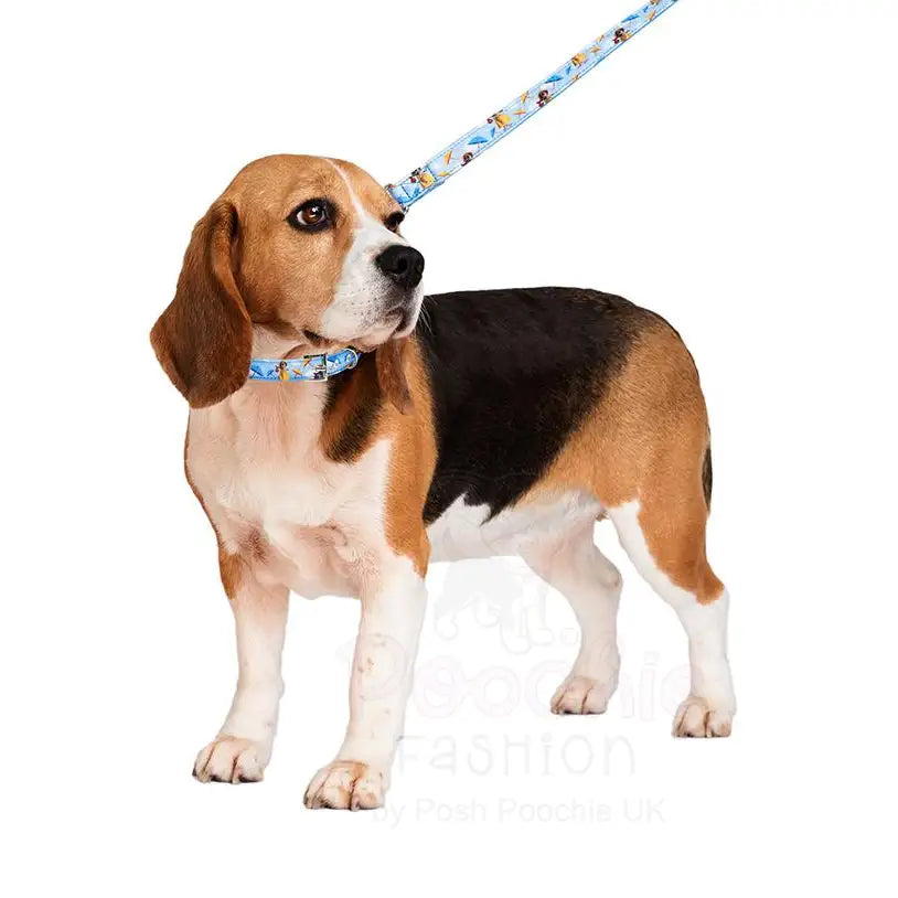 Gromit’s Dog Collar Large - Sale - 4