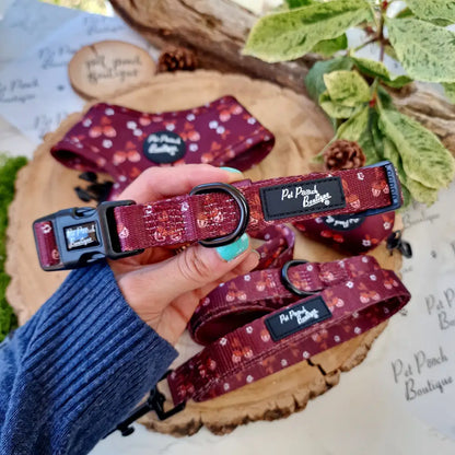 Happy Little Acorns Dog Collar - Pet Pooch - 1