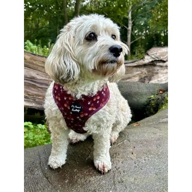 Happy Little Acorns Dog Harness - Pet Pooch - 5