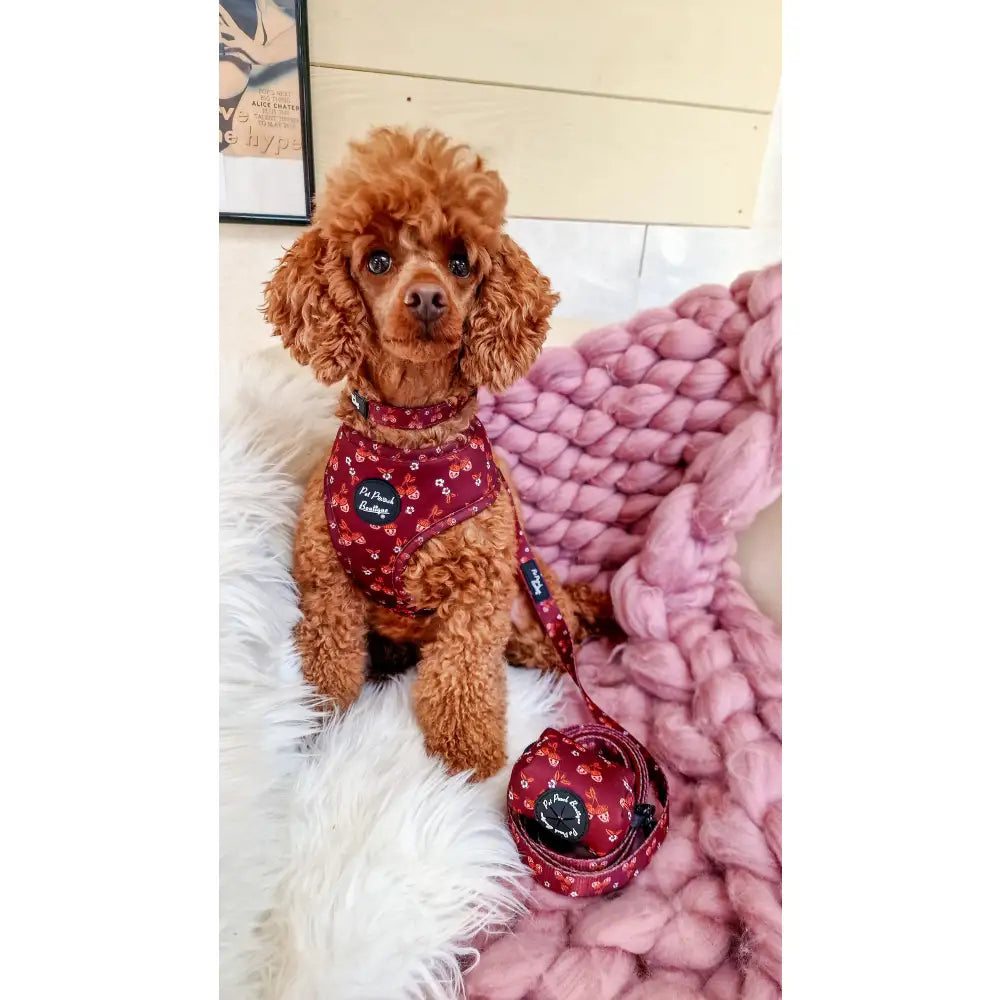Happy Little Acorns Dog Poo Bag Holder - Pet Pooch - 2