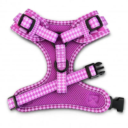 Harlequin Adjustable Dog Harness Purple - Piggie - 2