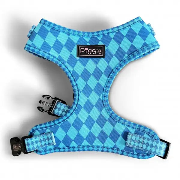 Harlequin Adjustable Neck Dog Harness Aqua - Piggie - 1