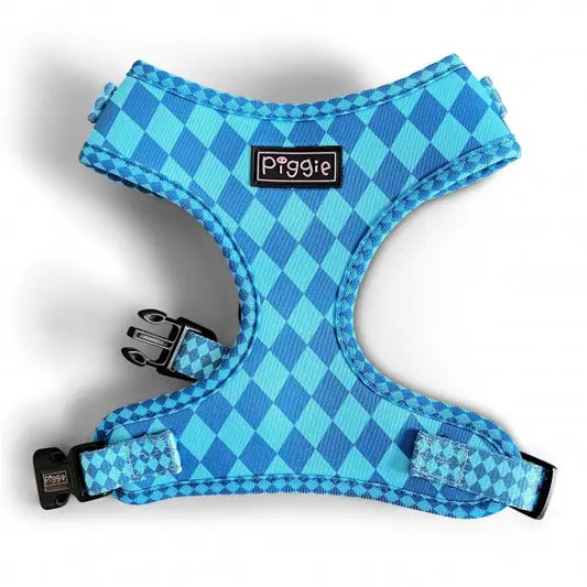 Harlequin Adjustable Neck Dog Harness Aqua - Piggie - 1