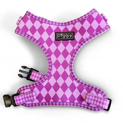 Harlequin Adjustable Neck Dog Harness Purple - Piggie - 1