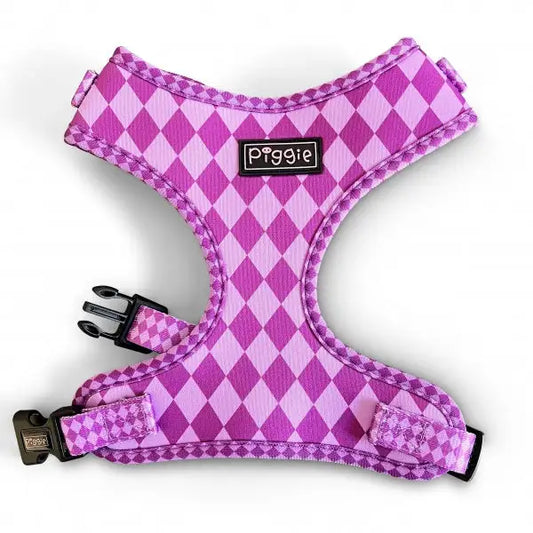 Harlequin Adjustable Neck Dog Harness Purple - Piggie - 1
