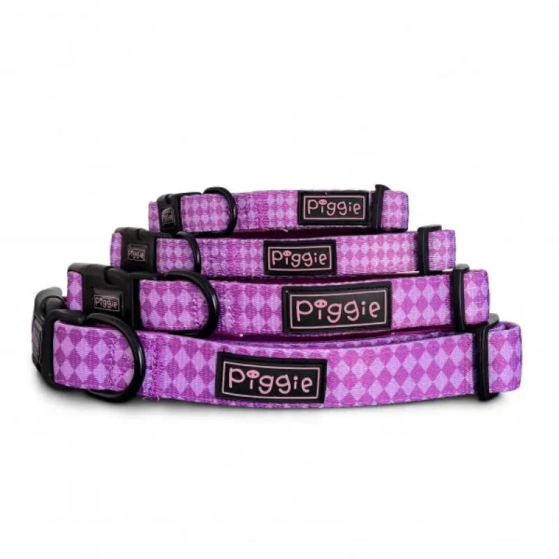 Harlequin Dog Collar and Lead Purple - Piggie - 3