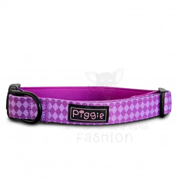 Harlequin Dog Collar and Lead Purple - Piggie - 2