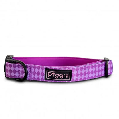 Harlequin Dog Collar and Lead Purple - Piggie - 2