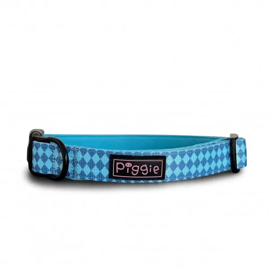 Harlequin Dog Collar Aqua - Piggie - 1