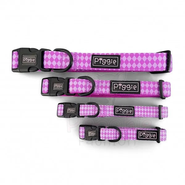 Harlequin Dog Collar Purple - Piggie - 3