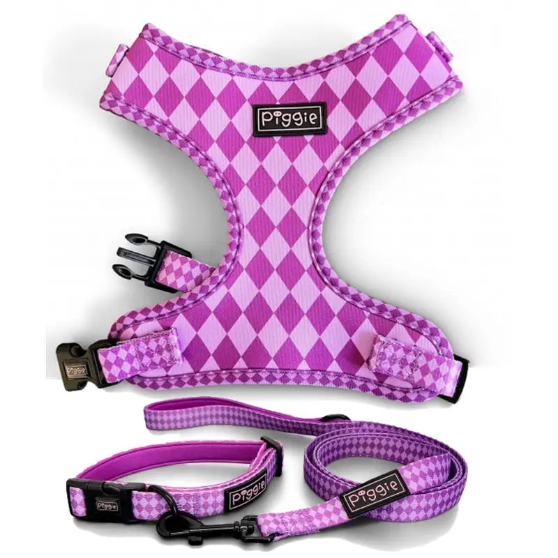 Harlequin Dog Collar Purple - Piggie - 4
