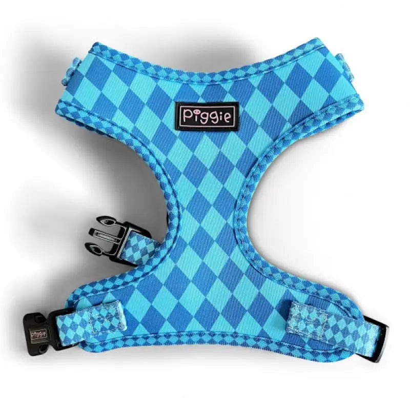 Harlequin Dog Harness Bundle In Aqua - Piggie - 2