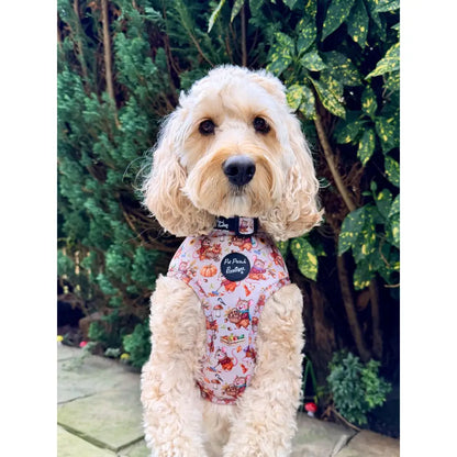 Harvest Mouse Dog Harness - Pet Pooch - 7