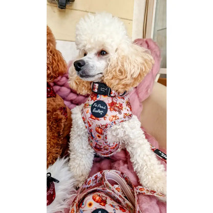 Harvest Mouse Dog Harness - Pet Pooch - 4
