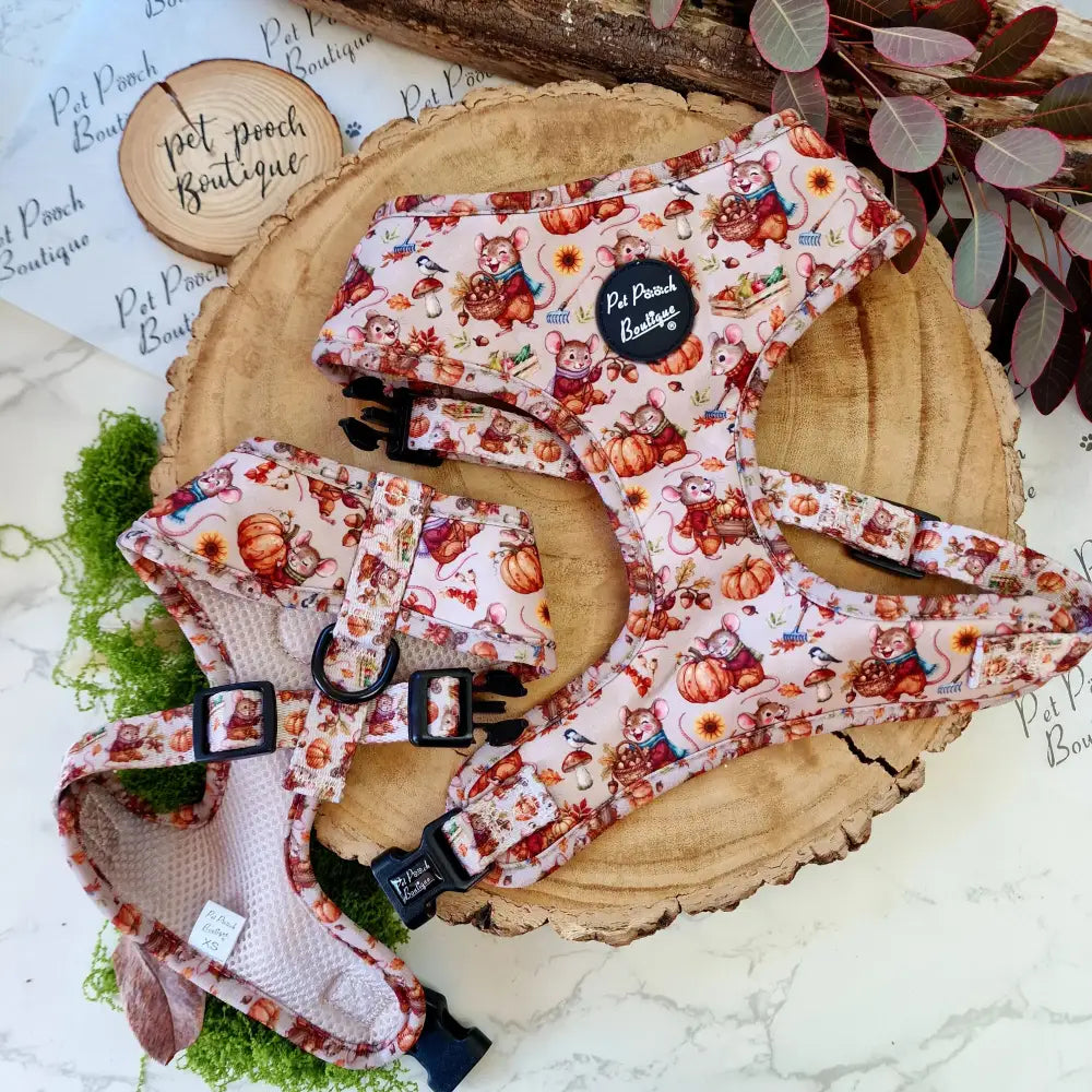 Harvest Mouse Dog Harness - Pet Pooch - 6