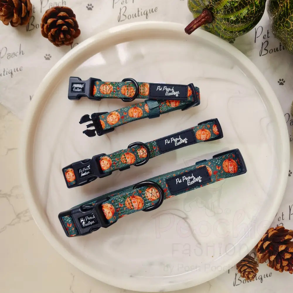 Harvest Pumpkin Dog Collar - Pet Pooch - 2