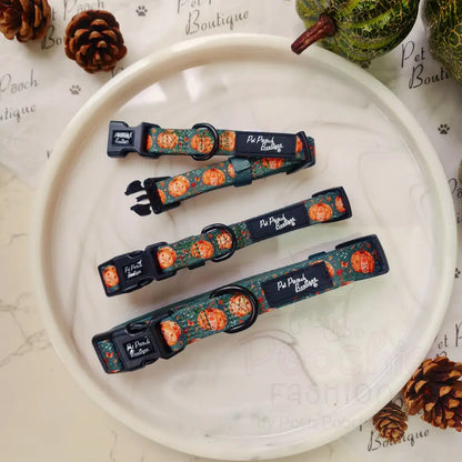 Harvest Pumpkin Dog Collar - Pet Pooch - 2