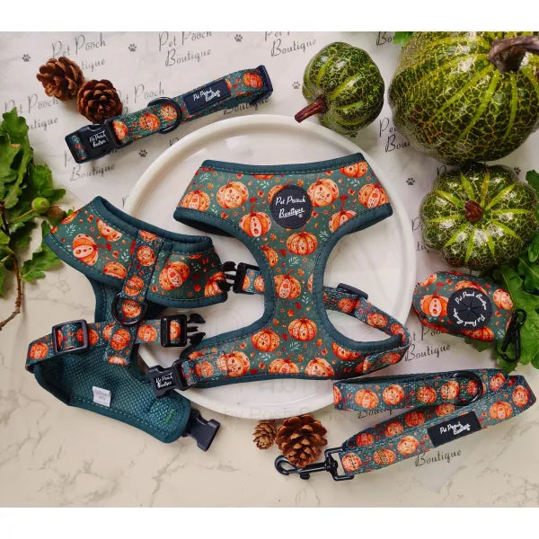 Harvest Pumpkin Dog Harness - Pet Pooch - 3