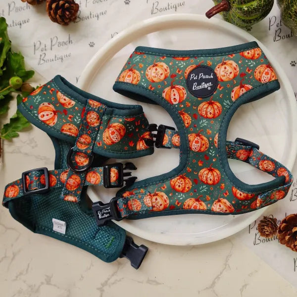Harvest Pumpkin Dog Harness - Pet Pooch - 1