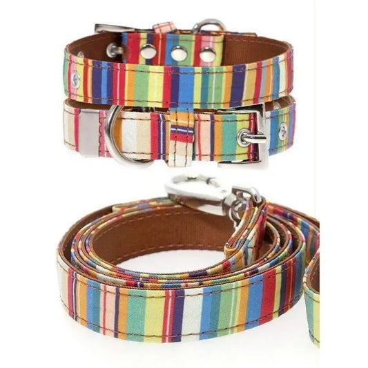 Matching boy and deals girl dog collars