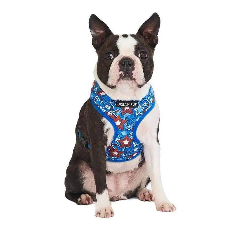 Hero Star Dog Harness Large - Sale - 1
