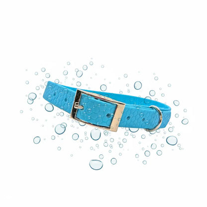 Hexa Biothane Dog Collar in Electric Blue - Poochie Fashion - 1