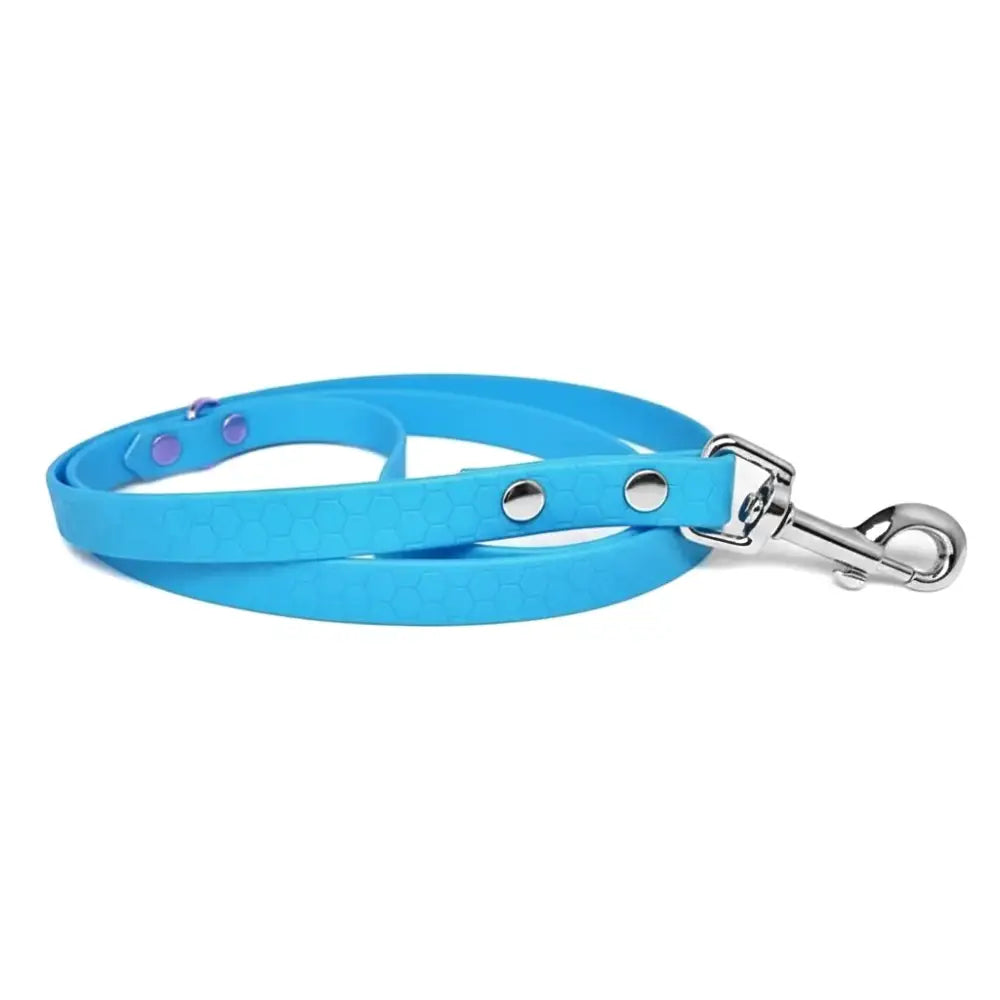 Hexa Biothane Waterproof Dog Lead in Electric Blue - Poochie Fashion - 1