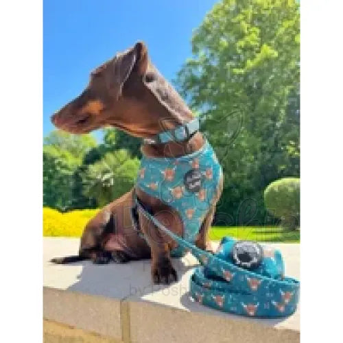 Highland Cow Dog Harness - Pet Pooch - 5