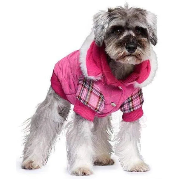 Highland Lady Quilted Tartan Designer Dog Coat - Urban Pup - 6