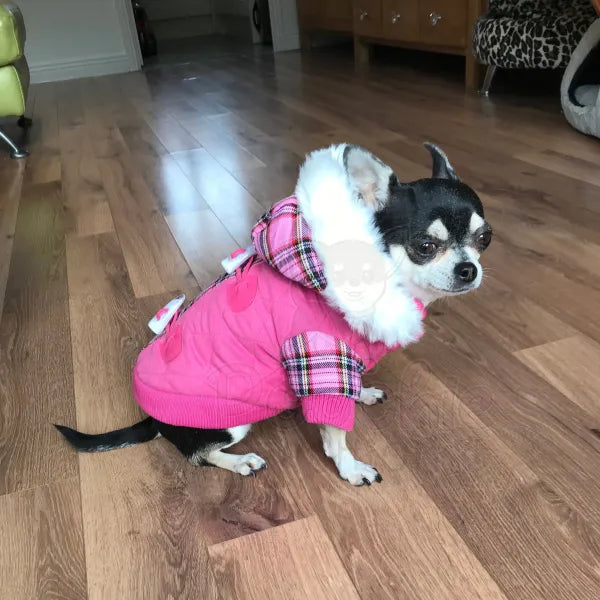 Highland Lady Quilted Tartan Designer Dog Coat - Urban Pup - 2