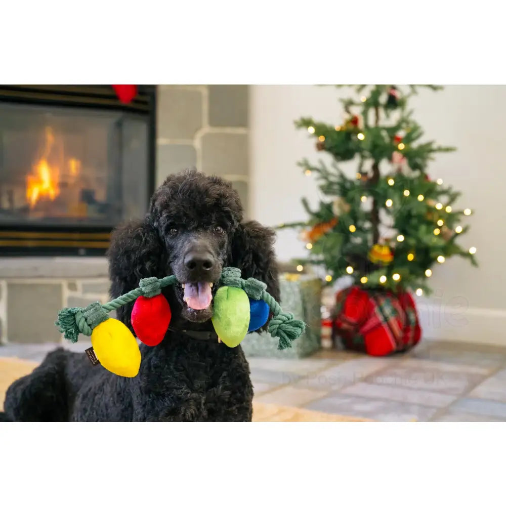 Holiday Lights Christmas Tugger Dog Toy by P.l.a.y - P.l.a.y - 5