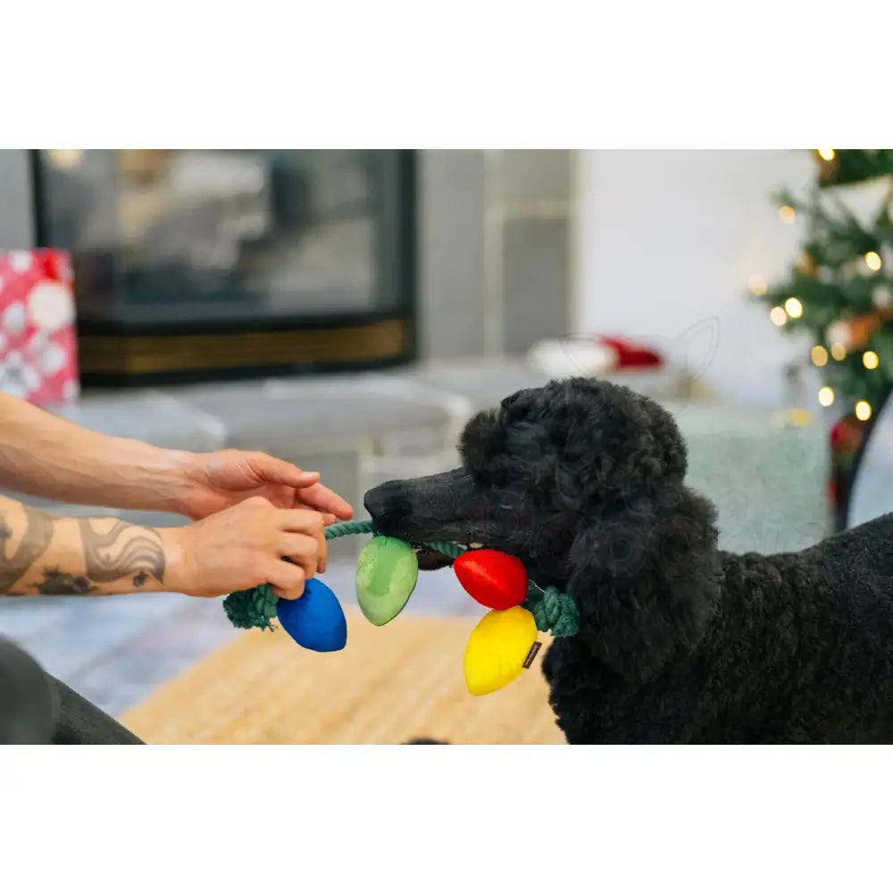 Holiday Lights Christmas Tugger Dog Toy by P.l.a.y - P.l.a.y - 3