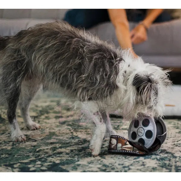 Hollywoof Movie Reel Dog Toy by P.l.a.y P.l.a.y 3