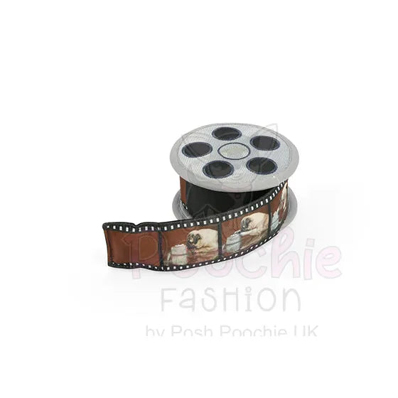 Hollywoof Movie Reel Dog Toy by P.l.a.y P.l.a.y 5