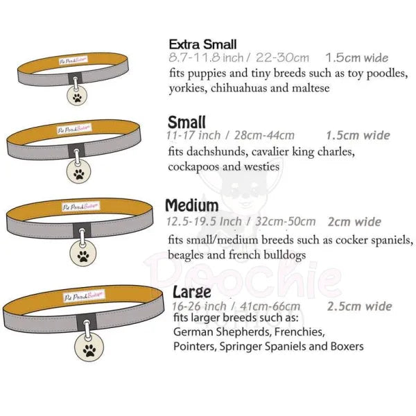 Honey Bumble Bee Puppy Dog Collar - Pet Pooch - 4