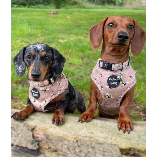 Honey Bumble Bee Puppy Dog Harness