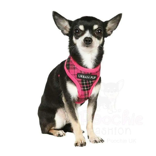 Hot Pink Tartan Dog Harness - Urban - 2
